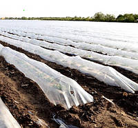 Пленка на Дуги для Тоннелей для Мульчирования ПРОЗРАЧНАЯ полотно 1,5м х 500м 30мкм на 1год