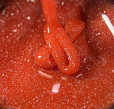 DANNY FLASH BUILDER GEL №01 15 ml