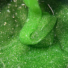 DANNY FLASH BUILDER GEL №02 15 ml