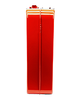 Каністра для палива 20 л RED-FOX металева, фото 4