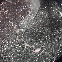 DANNY FLASH BUILDER GEL №14 15 ml