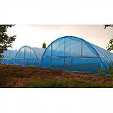 Плівка для парників і теплиць 120 мкм, 6м завширшки, термін експлуатації до 7 років, (блакитна). "Platinum"., фото 8