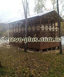 Літнє кафе, фото 3