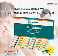 Хімплазія, Хімалая. Поліпшення тонусу для чоловіків, простата. натуральний, на травах. Himplasia Himalaya, 30 таб.