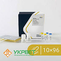 Мультиплексний набір BACGene для ПЛР у реальному часі для виявлення Mplex STEC Screen