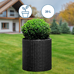 Кашпо для тераси Ємності для рослин Keter 39л Cylinder Planter Large Горщик для квітів Горщик ротанг