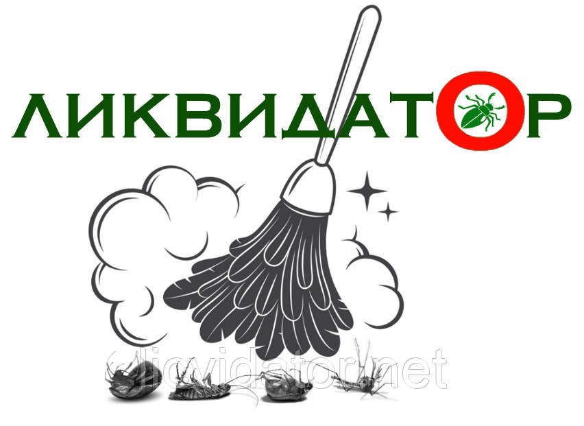 Прибирання квартир після ремонту в Харкові і області