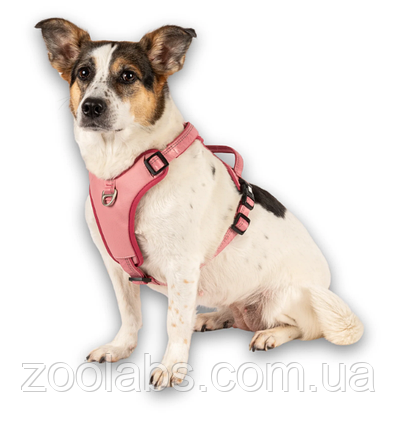 Шлея для собаки Max & Molly Smart ID Sport Harness Matrix 2.0 Rose рожева, фото 3