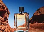 Hermes Terre d'Hermes Parfum парфумована вода 100 ml. (Тестер Гермес Терра Д'Гермес Парфум), фото 2
