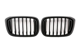 Решітки радіатора BMW X3 G01 (17-21) тюнінг ніздрі (чорний мат)