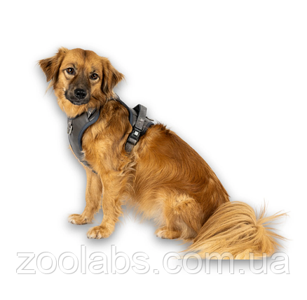 Шлея для собаки Max & Molly Smart ID Sport Harness Matrix 2.0 Stone сіра, фото 3