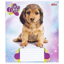 Зошит 24 арк. клітинка "МРІЇ" / Песик, фото 2