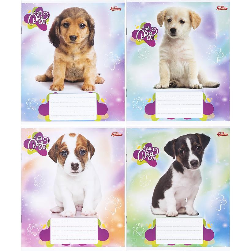 Зошит 24 арк. клітинка "МРІЇ" / Песик