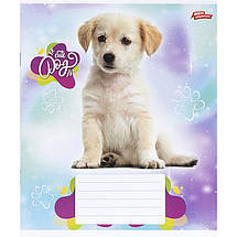 Зошит 24 арк. клітинка "МРІЇ" / Песик, фото 3