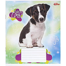 Зошит 24 арк. клітинка "МРІЇ" / Песик, фото 5