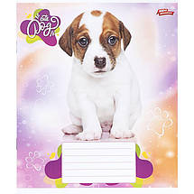 Зошит 24 арк. клітинка "МРІЇ" / Песик, фото 4