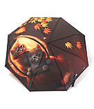 Парасолька напівавтомат Fiaba F23-028 жіноча на 8 спиць з котами Темно-коричневий, фото 2