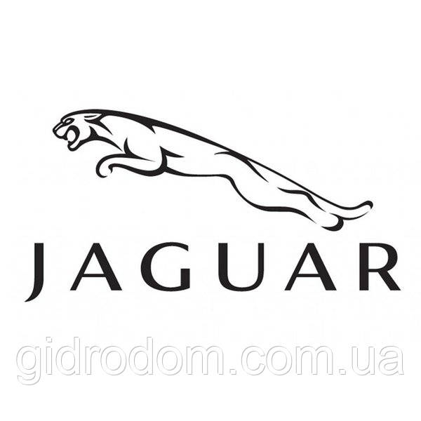 Ремонт кермової рейки Jaguar (Ягуар)
