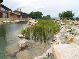 Зона регенерации (водные растения) должна занимать по отношению к плавательной части около 40%-50%