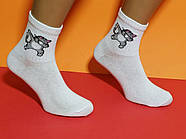 Шкарпетки високі весна/осінь Rock'n'socks 455-14 Деб Кот Україна one size (37-40р) НМД-0510837, фото 4
