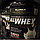 Allmax AllWhey Gold 908g, фото 4