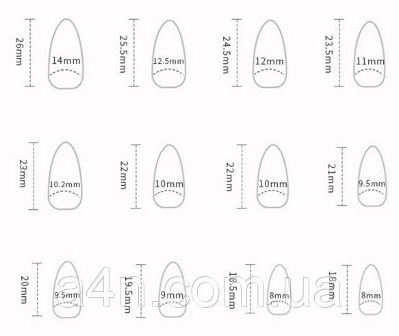 Накладные ногти - Интернет-магазин A4N Размеры накладных ногтей
