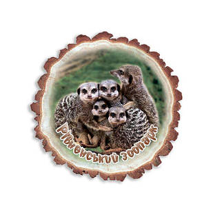 Магніт зріз дерева "Рівненський зоопарк" (сурікати)