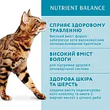 Оптіміл (Optimeal) вологий корм для котів з фореллю в кремовому соусі 85г, фото 4