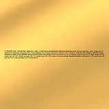 Консервований корм Purina Gourmet Gold Соус Де-Люкс з яловичиною 85 г (7613036705134), фото 6