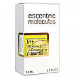 Escentric Molecule Molecule 01 + Ginger  Perfume Newly 58 мл, унісекс, фото 4