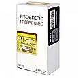 Escentric Molecule Molecule 01 + Ginger  Perfume Newly 58 мл, унісекс, фото 7