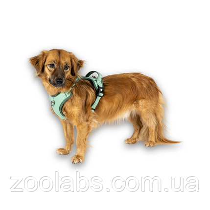 Шлея для собаки Max & Molly Smart ID Sport Harness Matrix 2.0 Jage нефрітова, фото 3