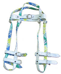 Ремінці Павлика 2