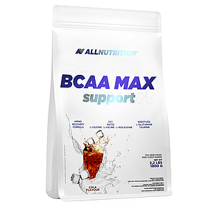 Бцаа AllNutrition BCAA MAX SUPPORT 1000 г ( різні смаки )
