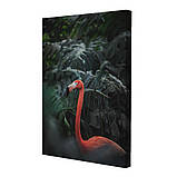 Набір постерів Riviera Blanca Монстера (PS-037) 3 шт в наборі, фото 3