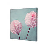 Набір постерів Riviera Blanca Жоржини (PS-119) 2 шт в наборі, фото 3