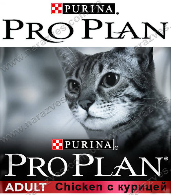 

Сухой корм Pro Plan Adult Курица на развес