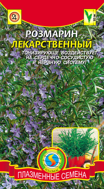 

Розмарин лекарственный 20 шт (Плазменные семена)