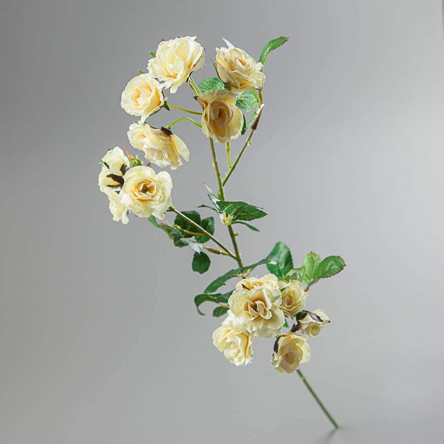 

Камелия (75 см)