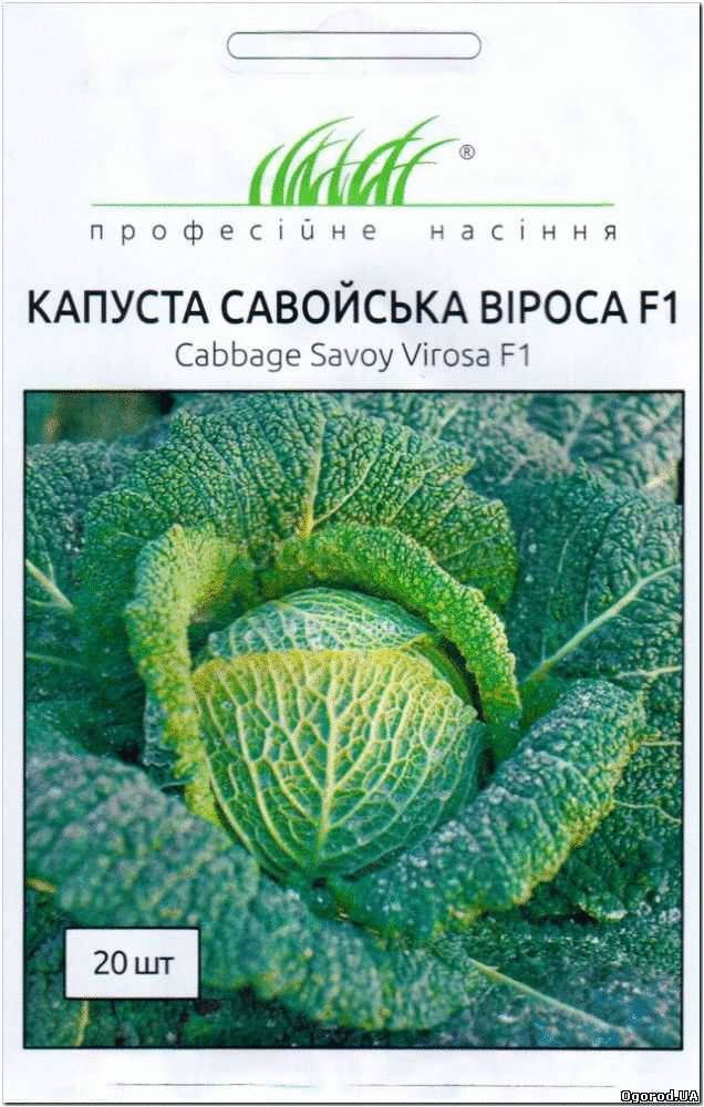 

Семена Капуста савойская Вироса F1, 20 семян Bejo Zaden