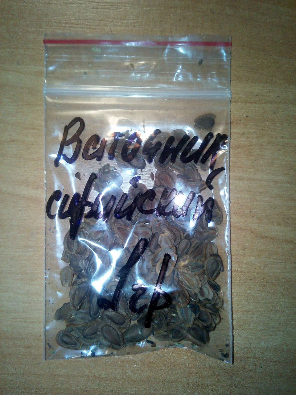 

Ваточник сирийский 1 грамм,семена медоносов, лекарственных трав.