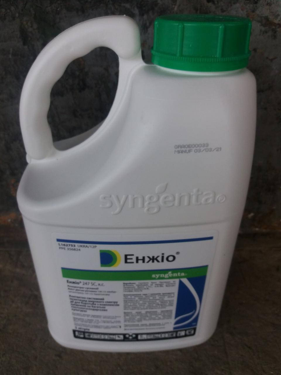 

Инсектицид Энжио ( Syngenta )