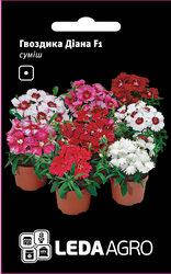 

Семена гвоздики Диана F1, 10 шт., смесь