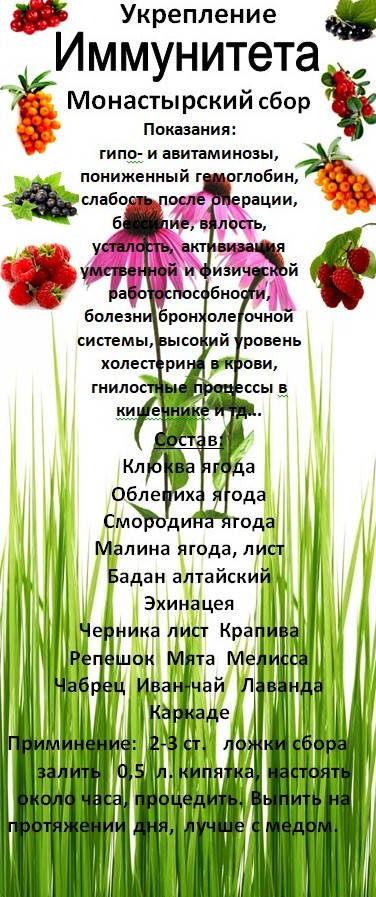 

Монастырский сбор для укрепления иммунитета