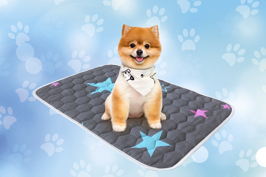 

Многоразовая пеленка для собак AquaStop Арт 5 размер 60 х 60 см.