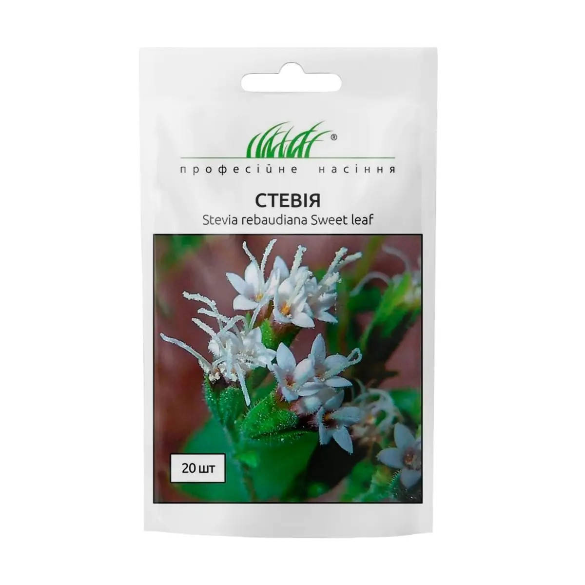 

Стевія 20шт Професійне насіння Нидерланды