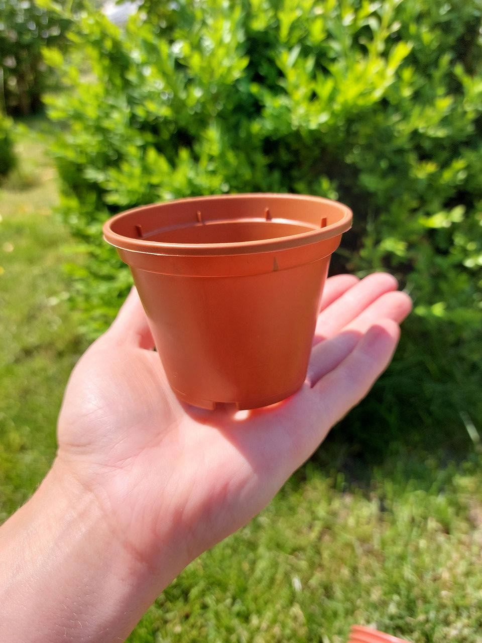 

Горщики для фіалок Алеана, діаметр 8 см, Теракот