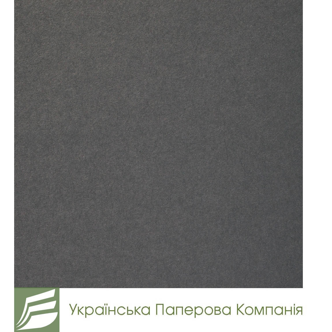 

Дизайнерский картон Creative board, матовый темно-серый, 270 гр/м2