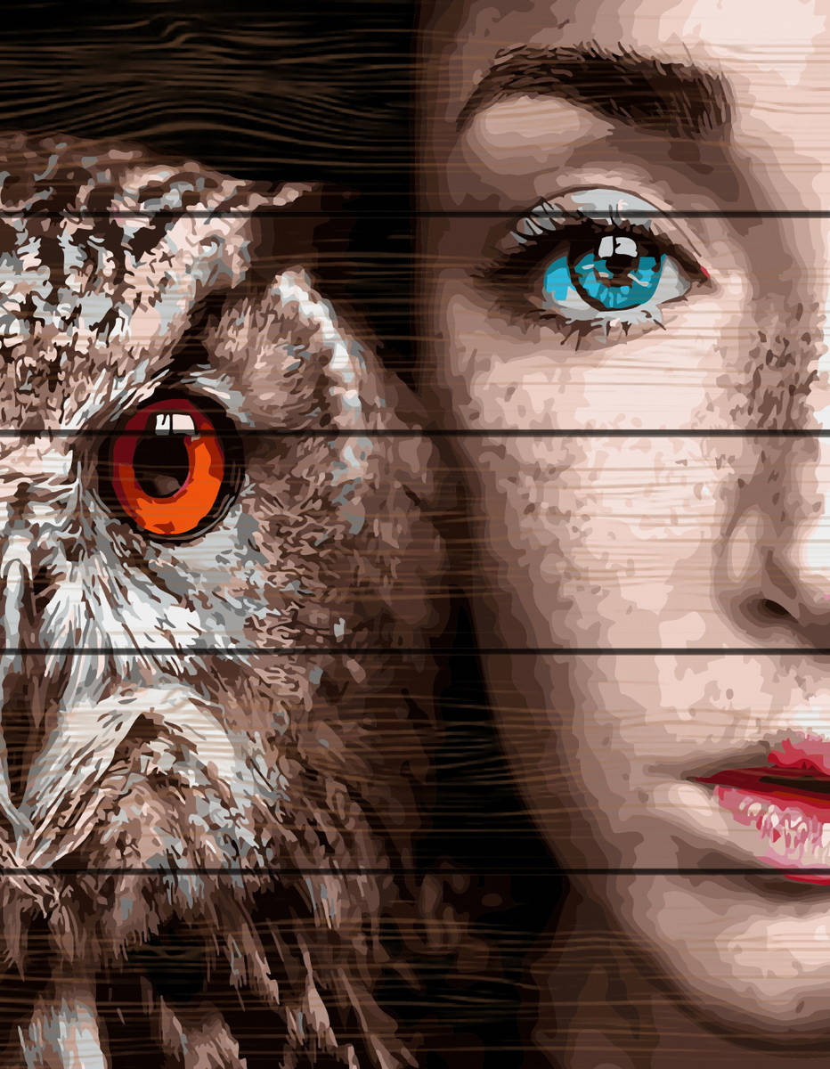 

Картина по номерам на дереве Девушка и сова 40*50 см. Rainbow Art