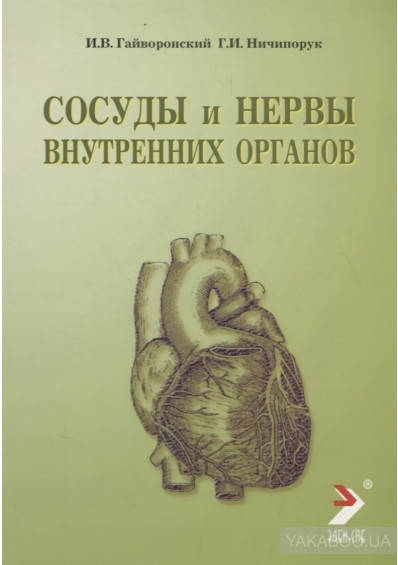 

Гайворонский И.В.,Ничипорук Г.И. Сосуды и нервы внутренних органов. 2019г